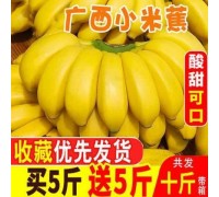 西双版纳生态芭蕉小米蕉香蕉当季孕妇新鲜水果banana自然熟